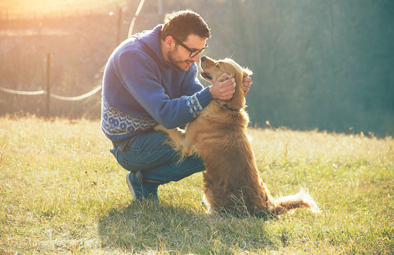 Birds' Brain vs. Dogs' Mind: A Cognitive Clash 5 dog loyal to owner
