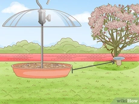 v4 460px Keep Algae from Growing in Bird Bath Step 9 Version 3.jpg