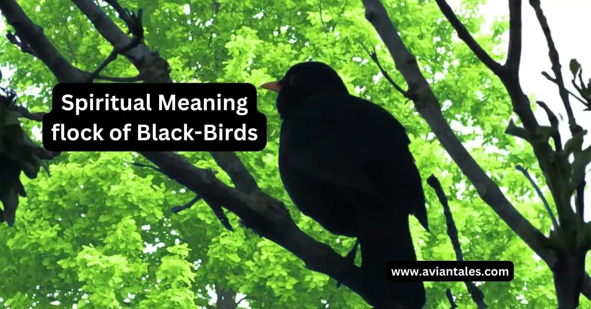 spiritual-meaning-flock-of-black-birds Banner