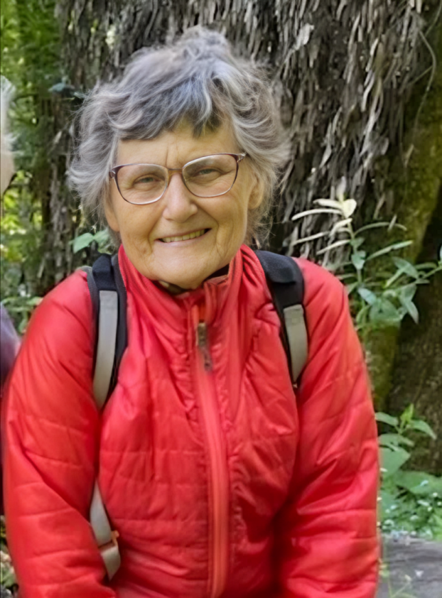 The Disappearance of Margaret Elaine McKinley